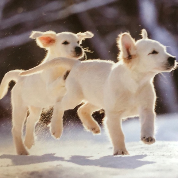 Calendar - Picture 2 of 3